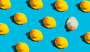 Ten yellow rubber ducks on blue background with one white rubber duck